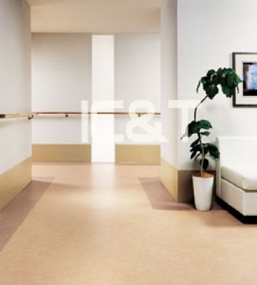 VINYL Toli - Factleum