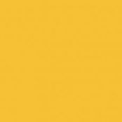 Yellow_3917 013