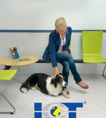 TARKETT - Standard Plus