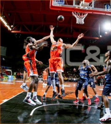 TARKETT - MULTIFLEX M