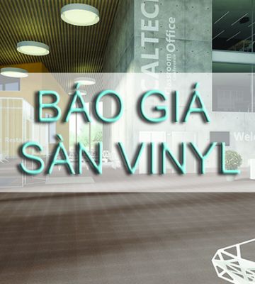 Sàn Nhựa Vinyl - Báo giá sàn nhựa Vinyl 